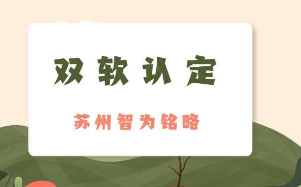 雙軟企業