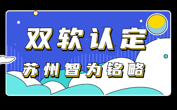 雙軟企業