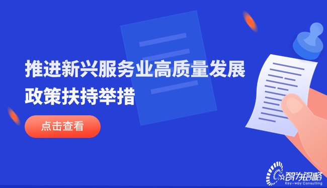 推進新興服務業高質量發展的政策扶持舉措.jpg