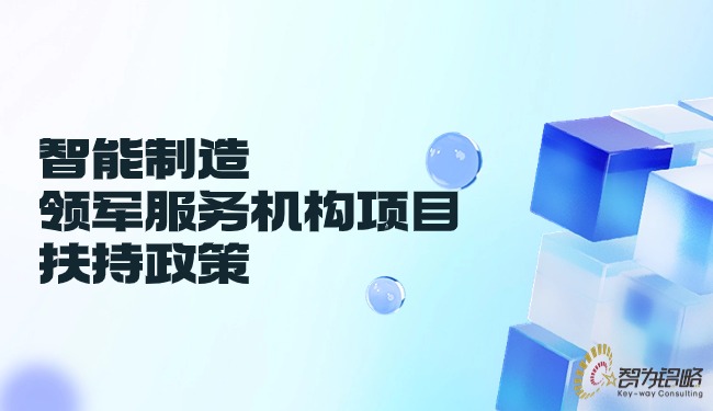 智能制造領軍服務機構項目扶持政策.jpg